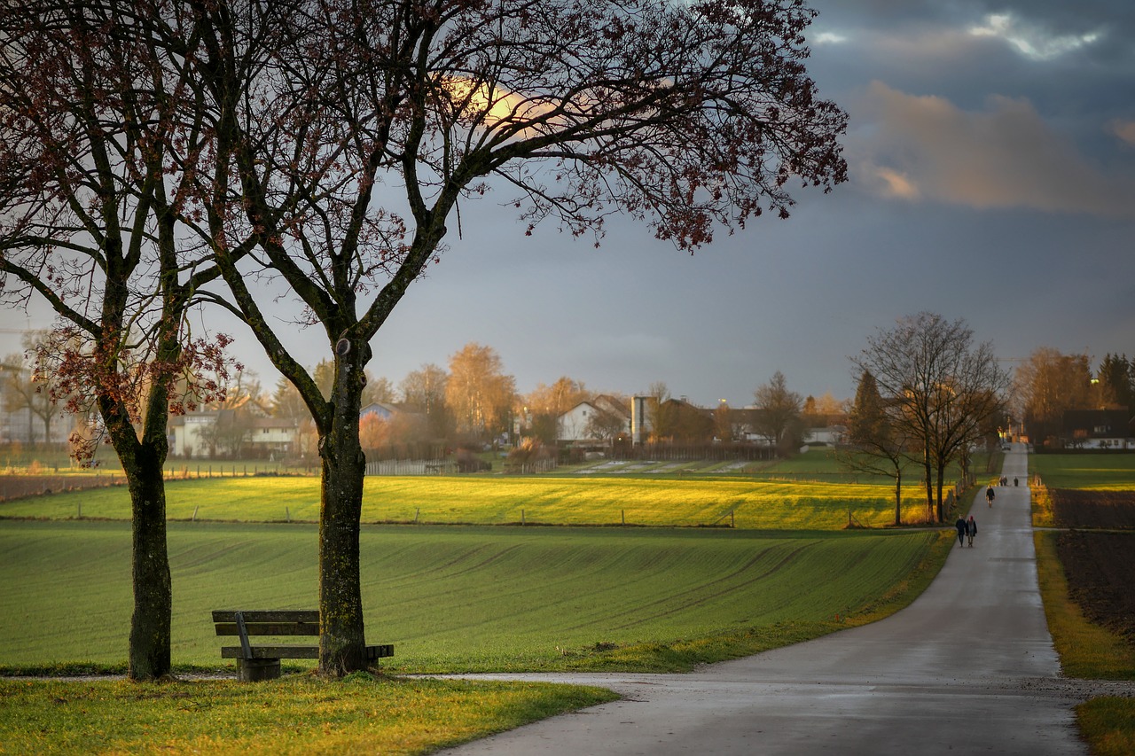 rest  clouds  tree free photo