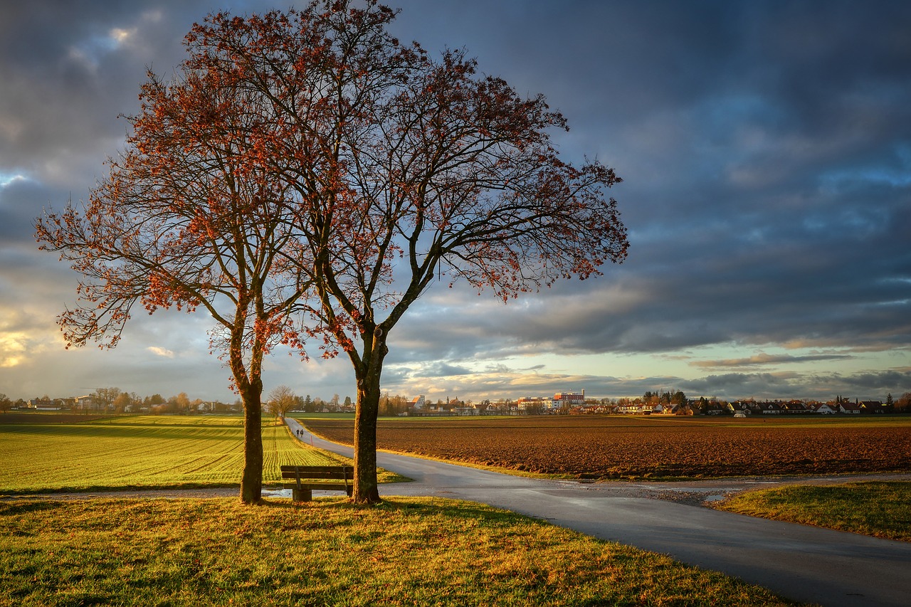 rest  clouds  tree free photo