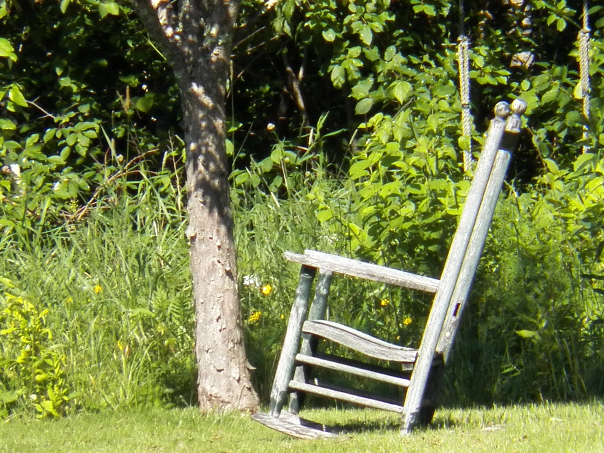 rocking chair rest relax free photo