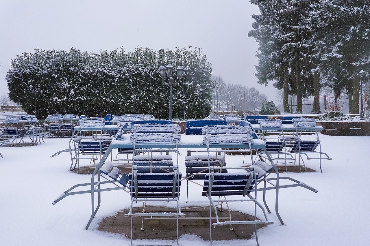 restaurant  beer garden  gastronomy free photo