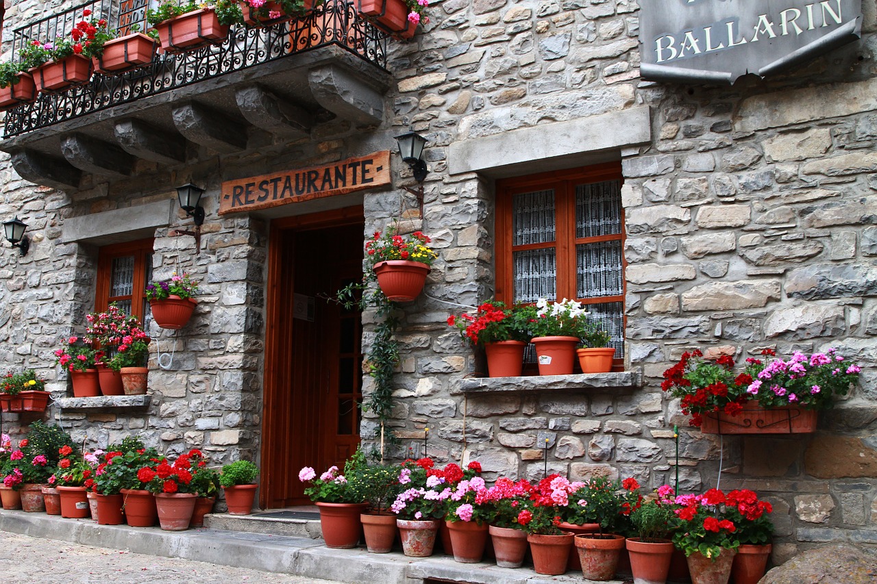 restaurant european restaurant flowers in pots free photo