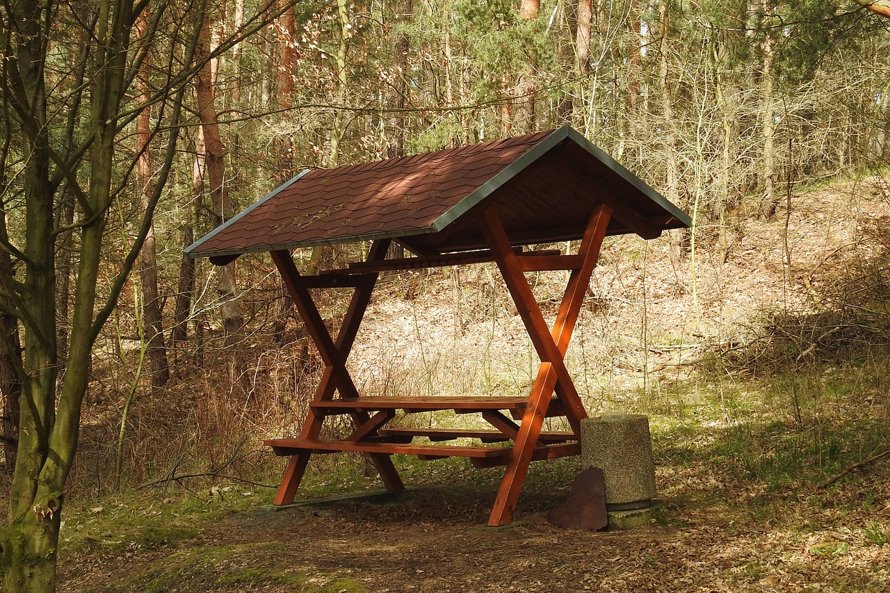 resting place forest hike free photo