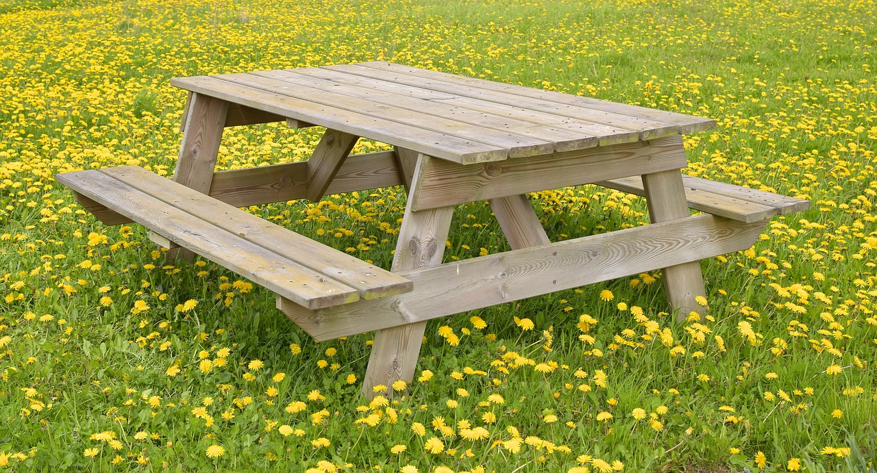 resting place  dandelion  meadow free photo