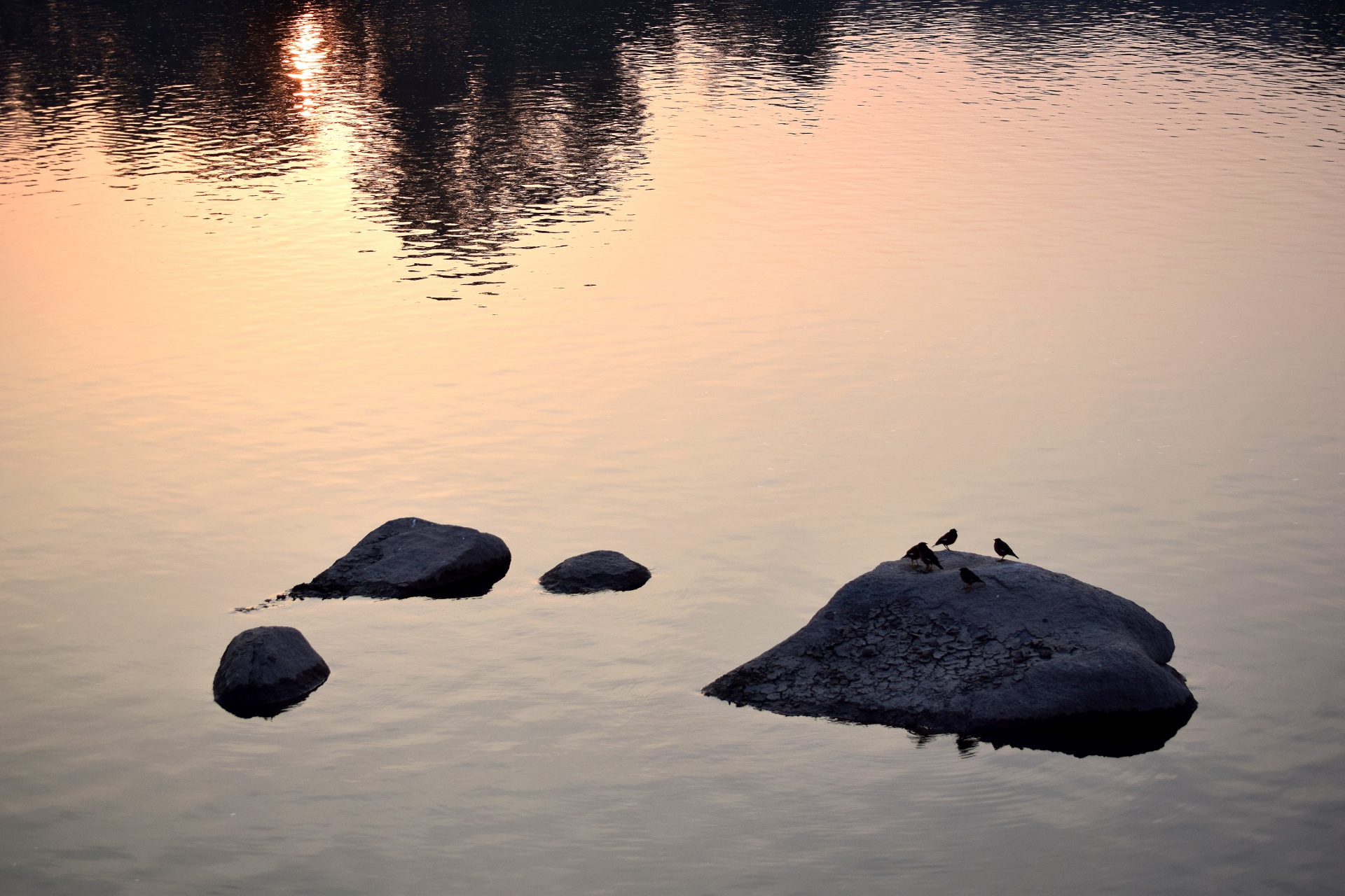 birds rock river free photo