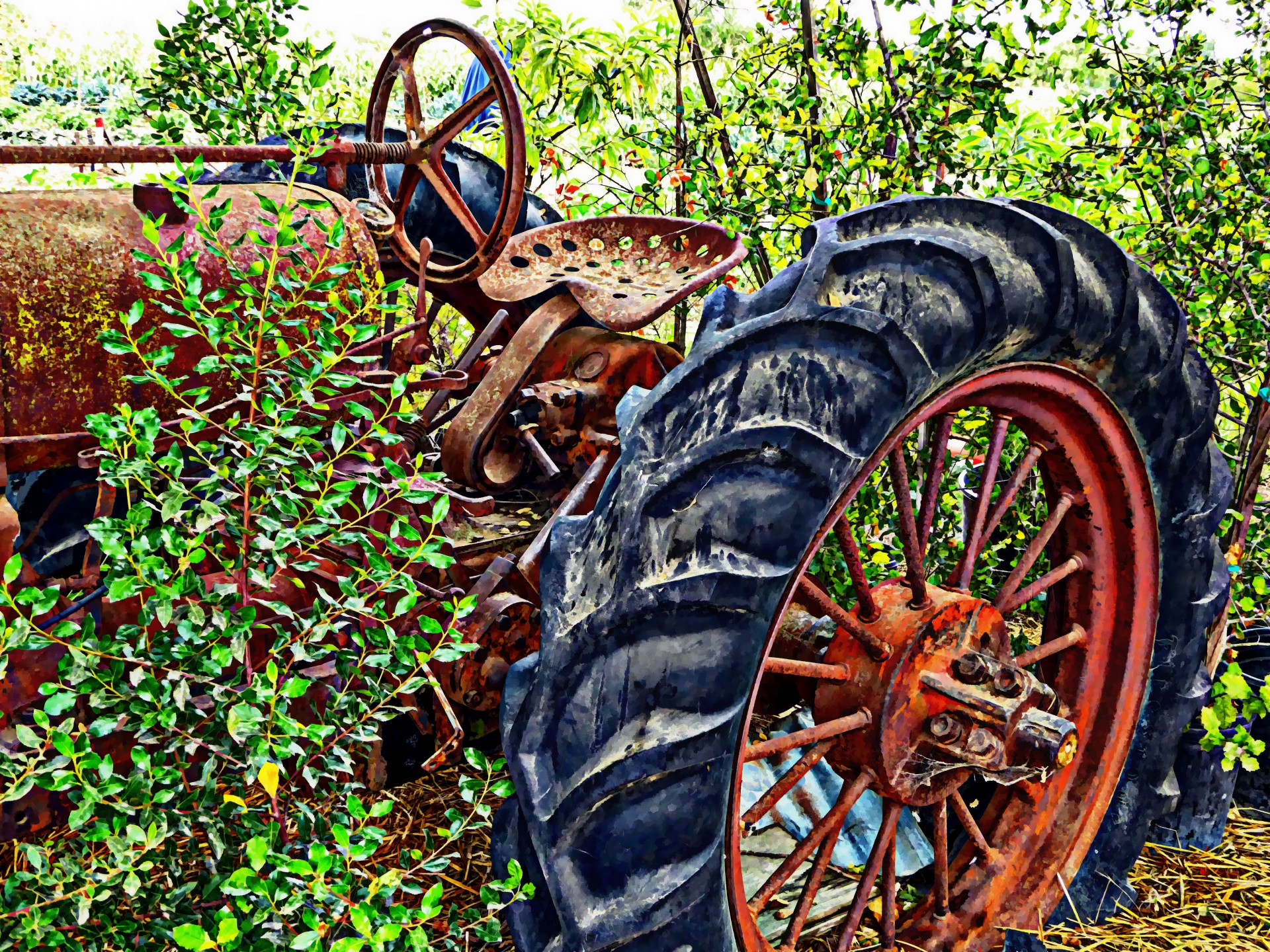 tractor tractors old free photo