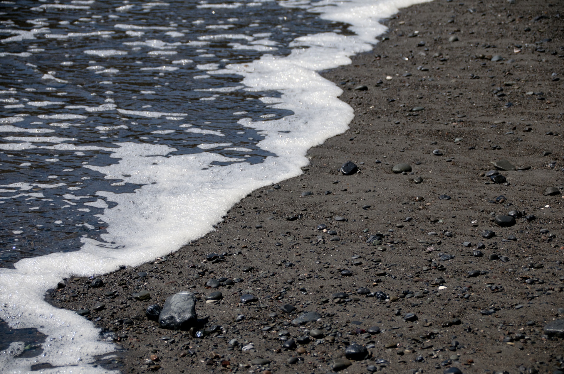 beach sea ocean free photo