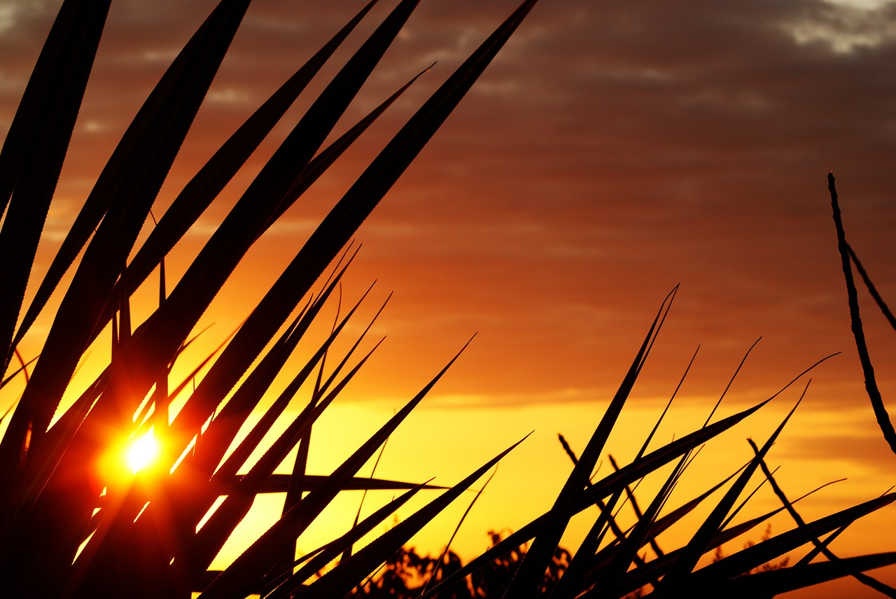 reunion island sunset evening free photo