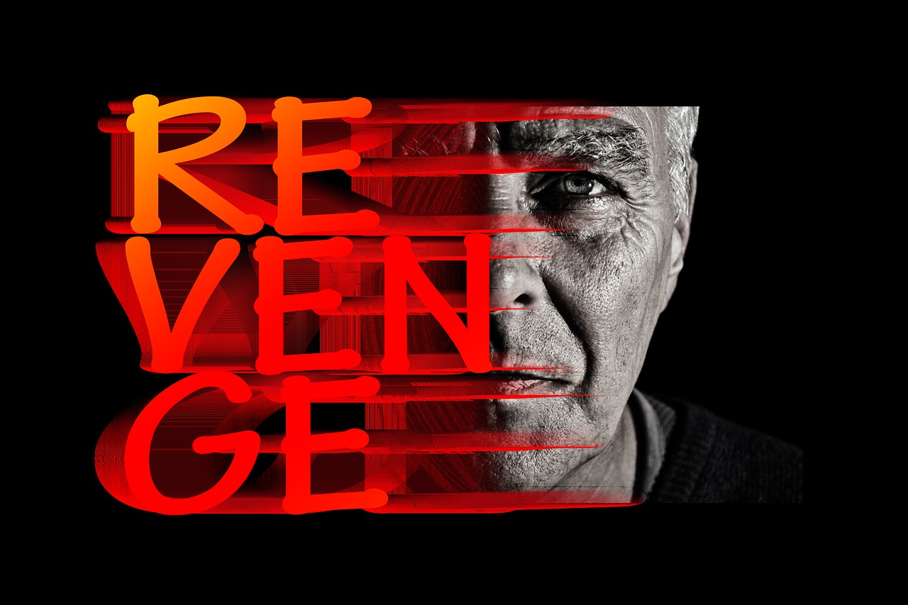 revenge face view free photo