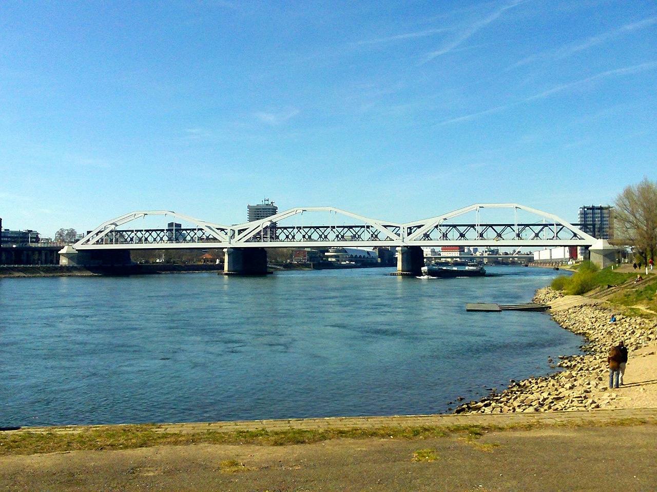 rheinbrücke rhine river landscape free photo