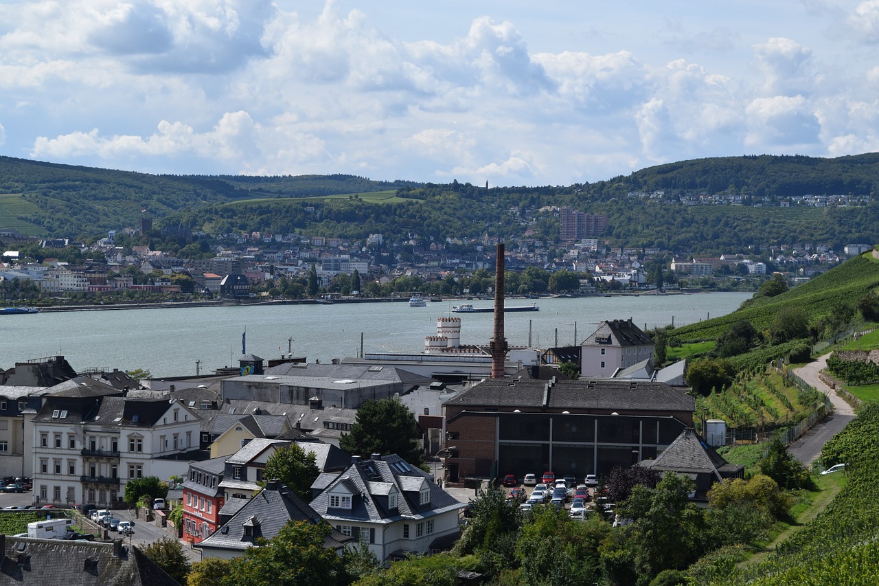 rheingau rhine rüdesheim free photo