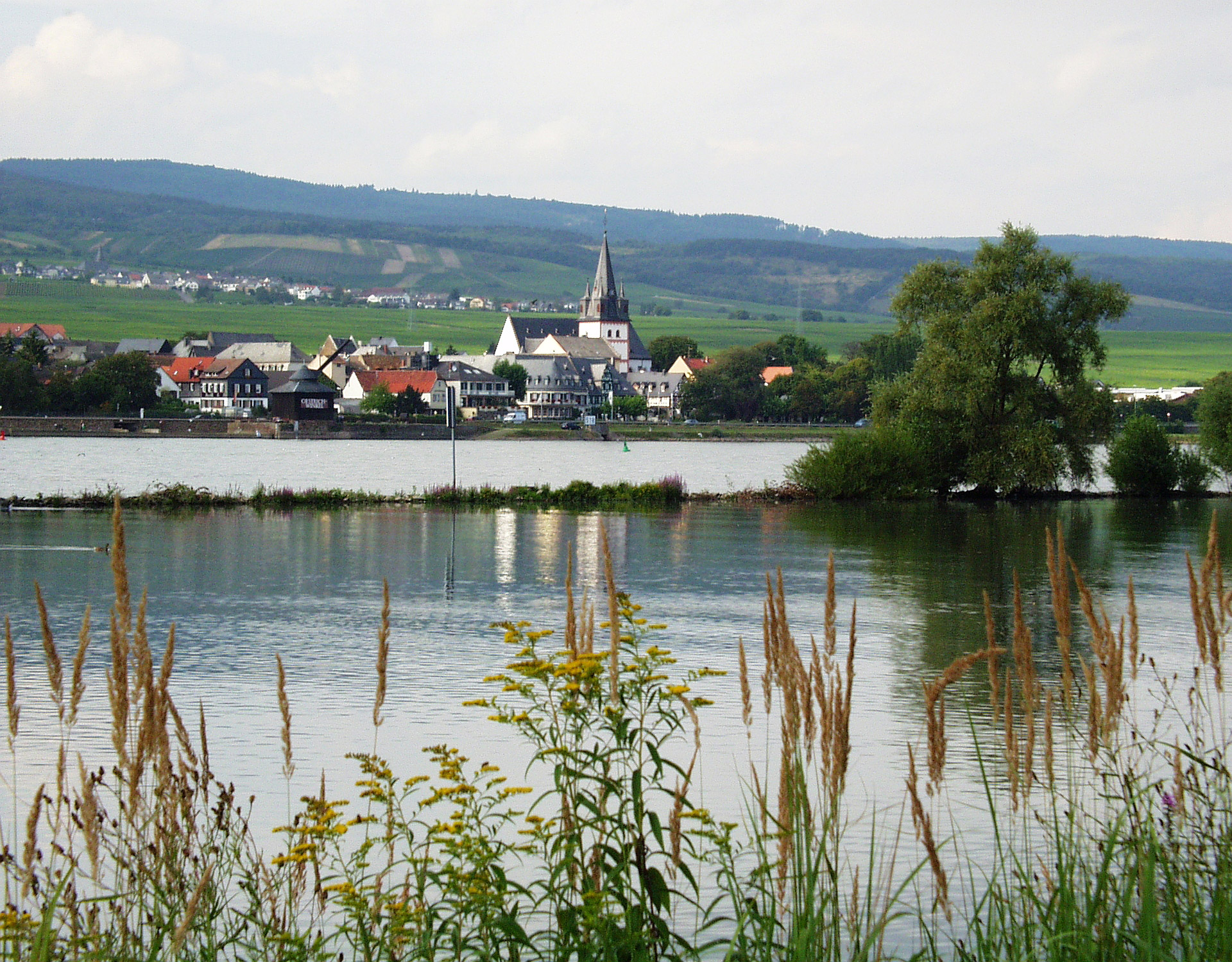 rhine rheinhessen ingelheim free photo