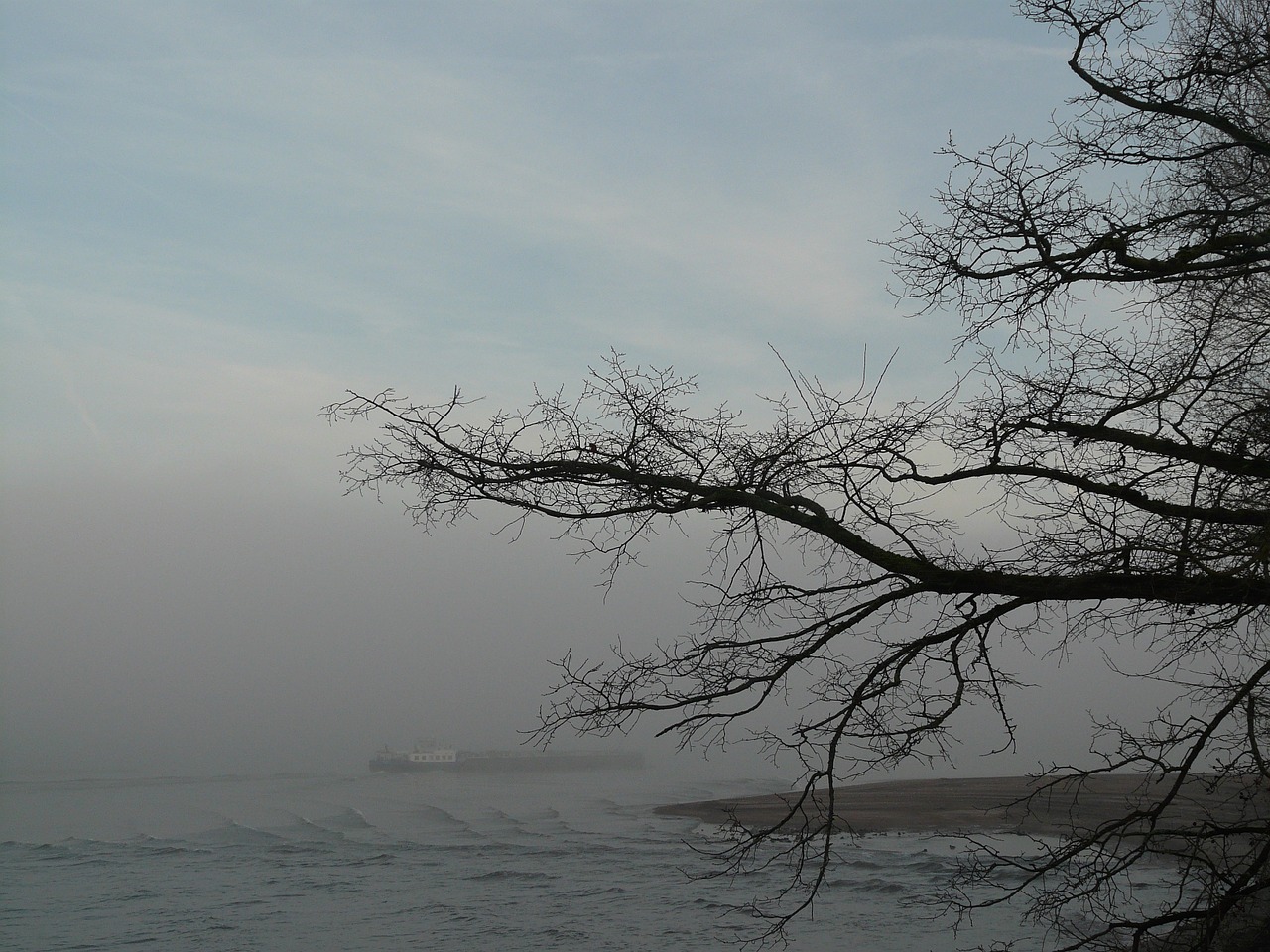 rhine fog riverside free photo