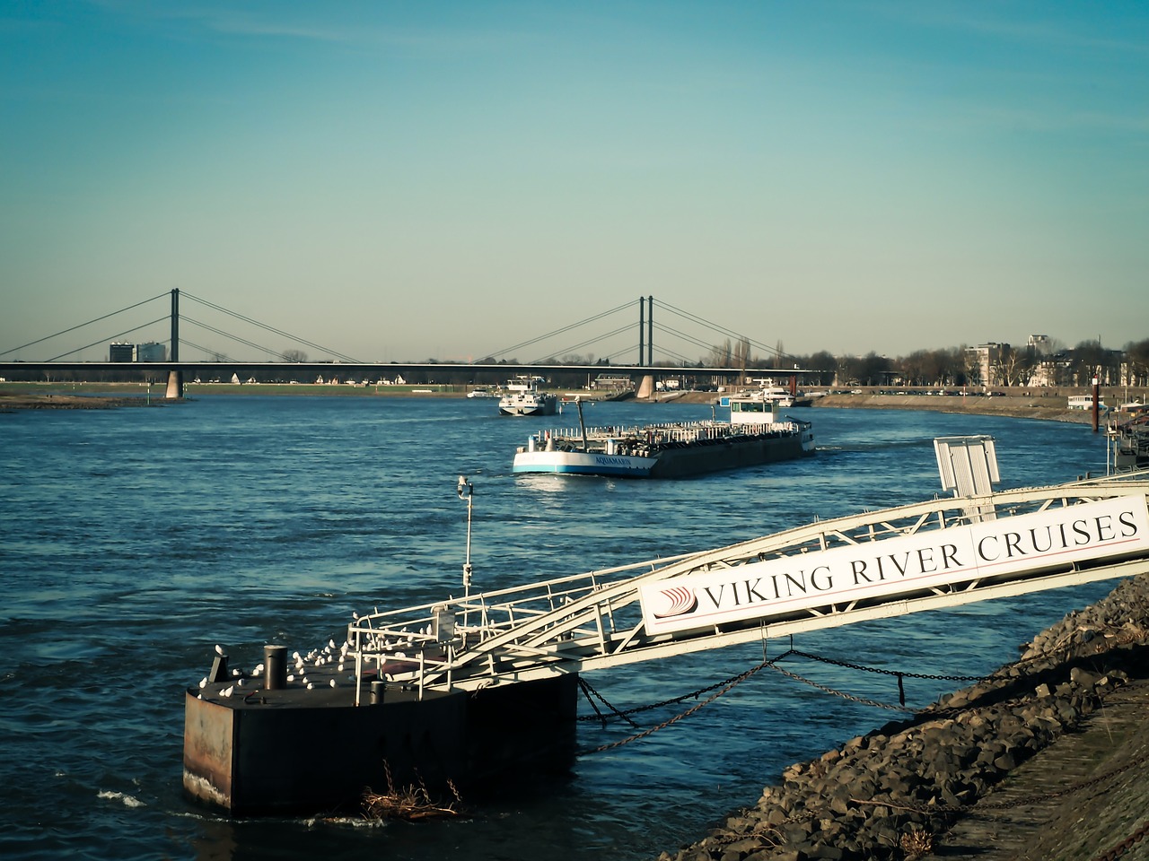 rhine river water free photo