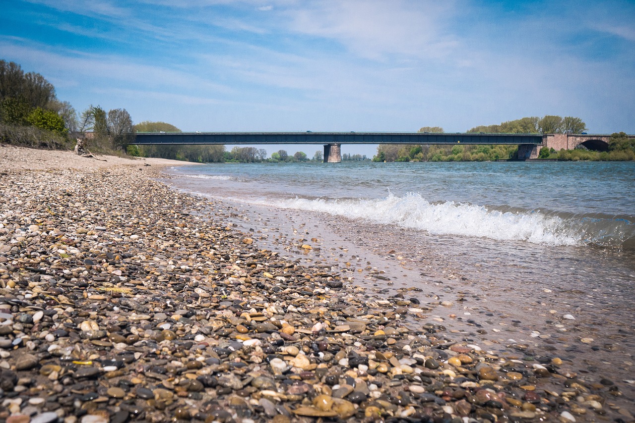 rhine river nature free photo