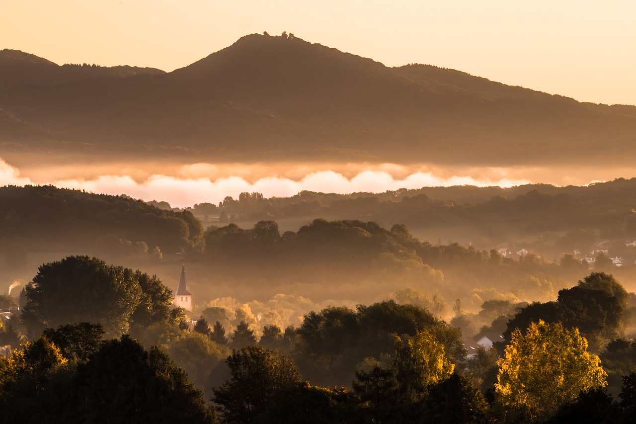 rhine fog mood free photo