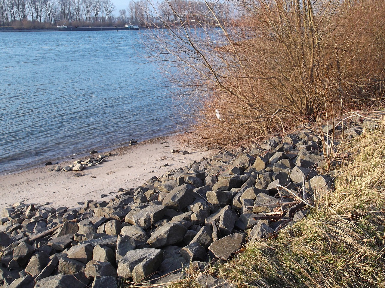 rhine river bank free photo