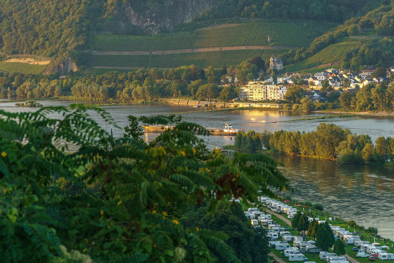 rhine evening sun bad honnef germany free photo