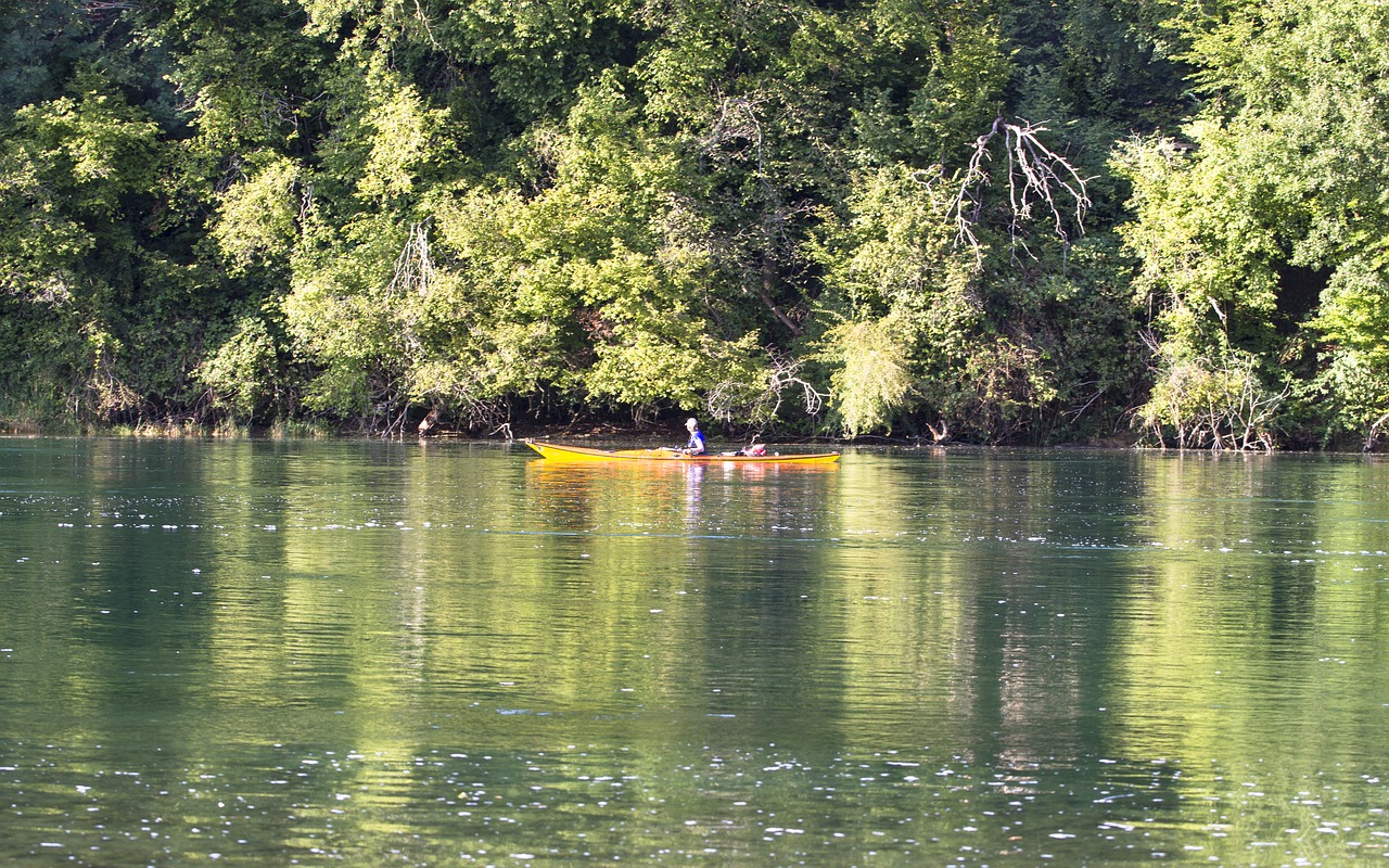 rhine boot canoeing free photo