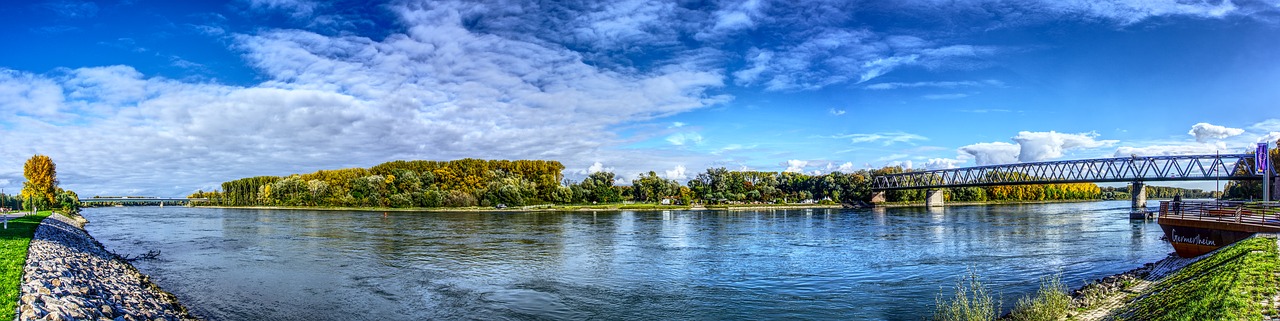 rhine river bank free photo