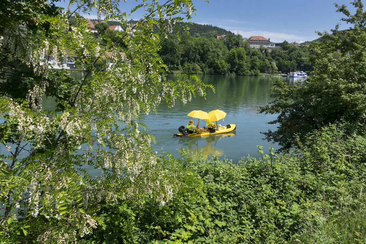 rhine  boat  water free photo