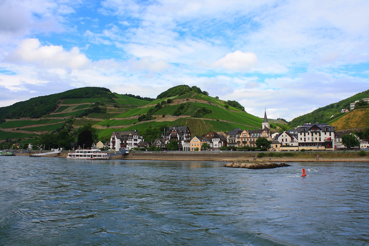 rhine  nature  river free photo