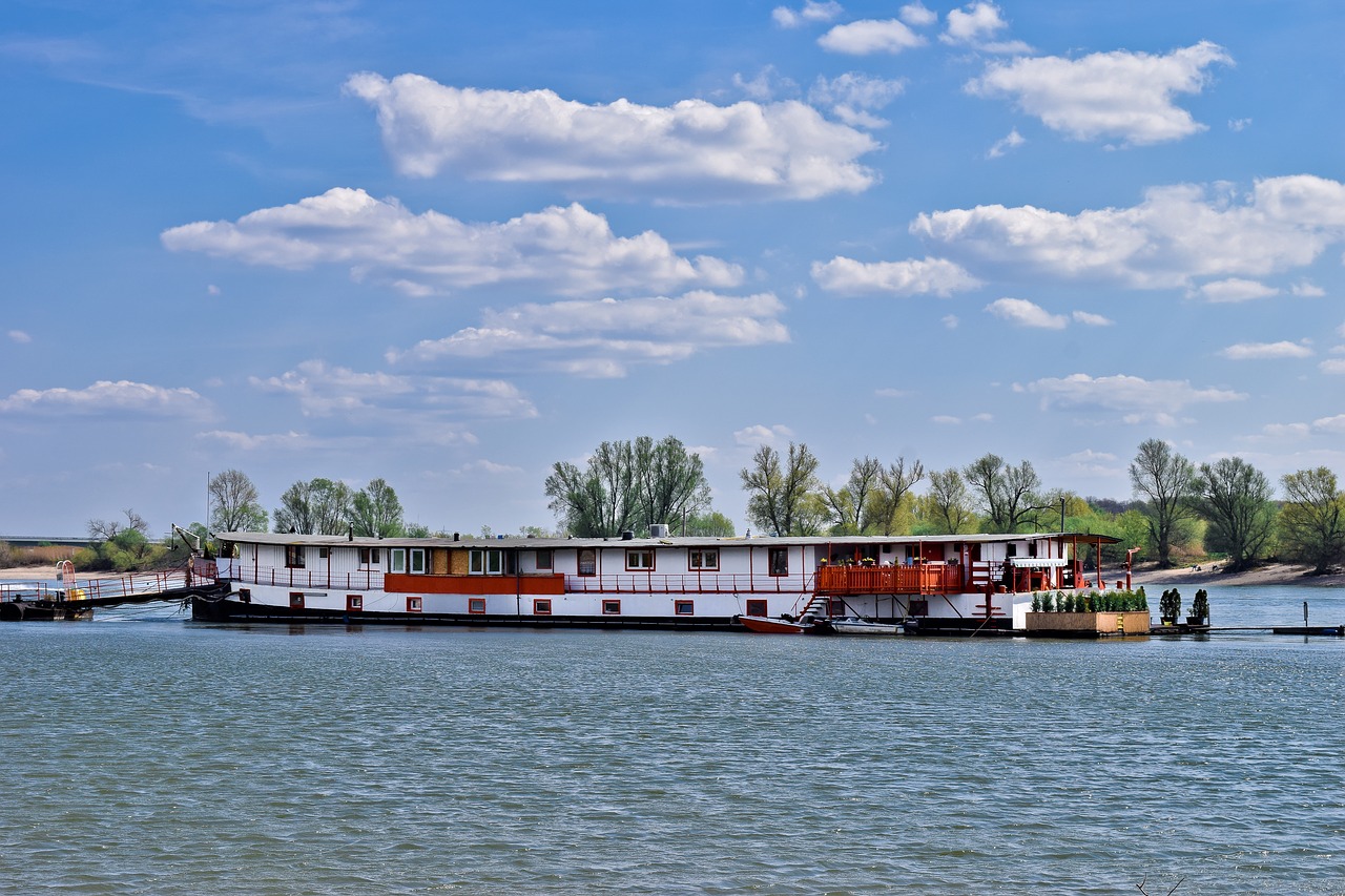 rhine  river  water free photo