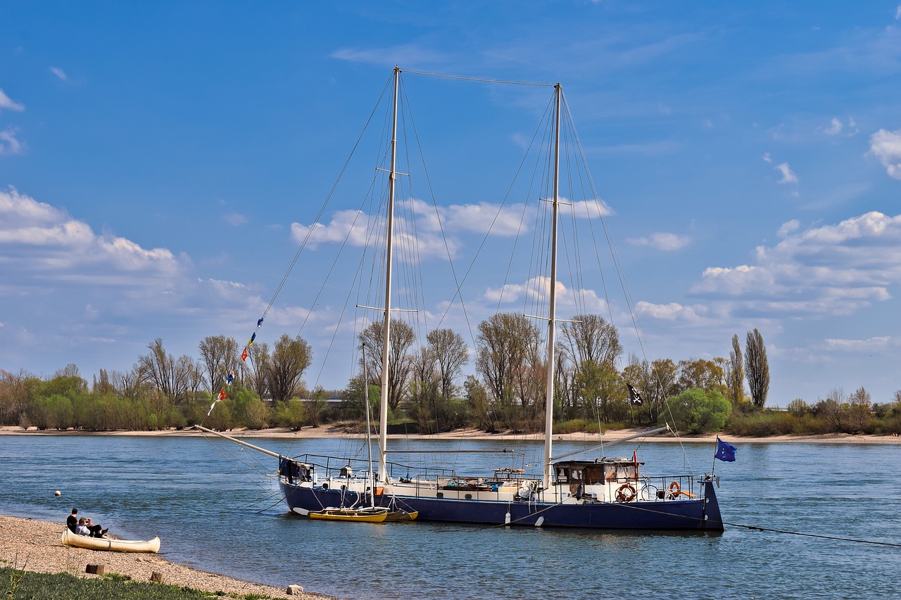 rhine  river  water free photo