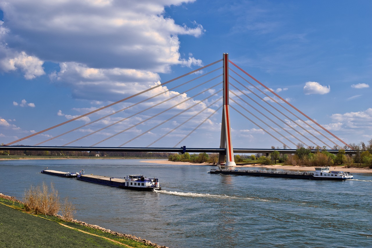 rhine  river  water free photo