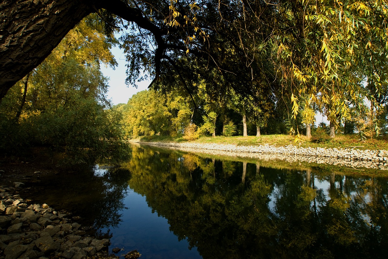 rhine aue channel free photo