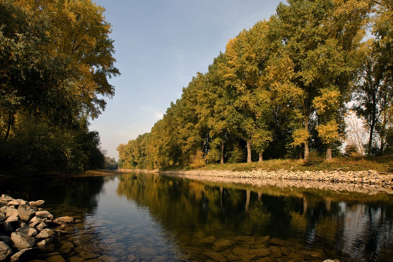 rhine river channel free photo