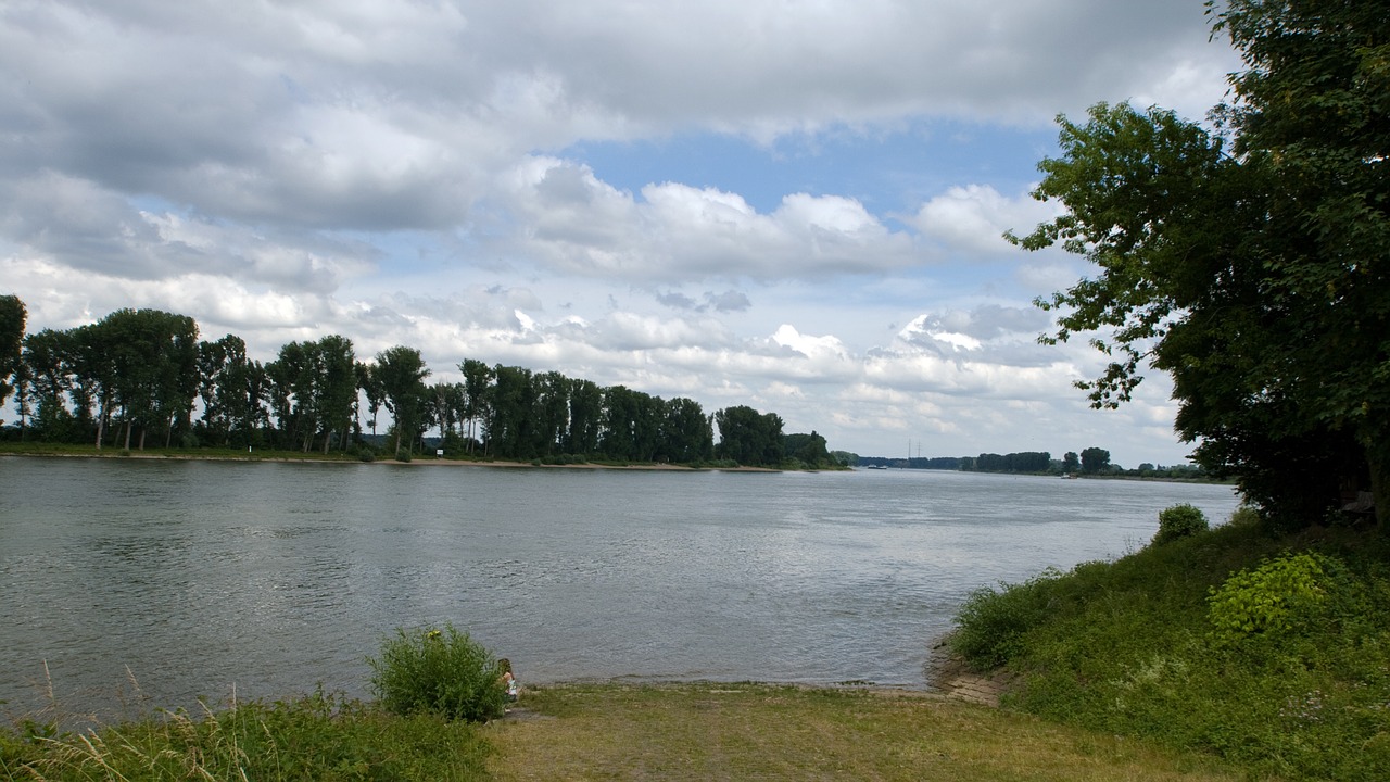 rhine water river landscape free photo