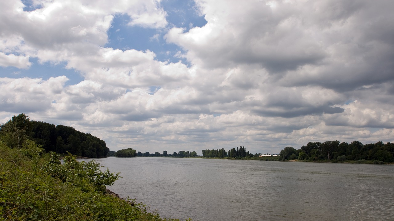 rhine water river landscape free photo