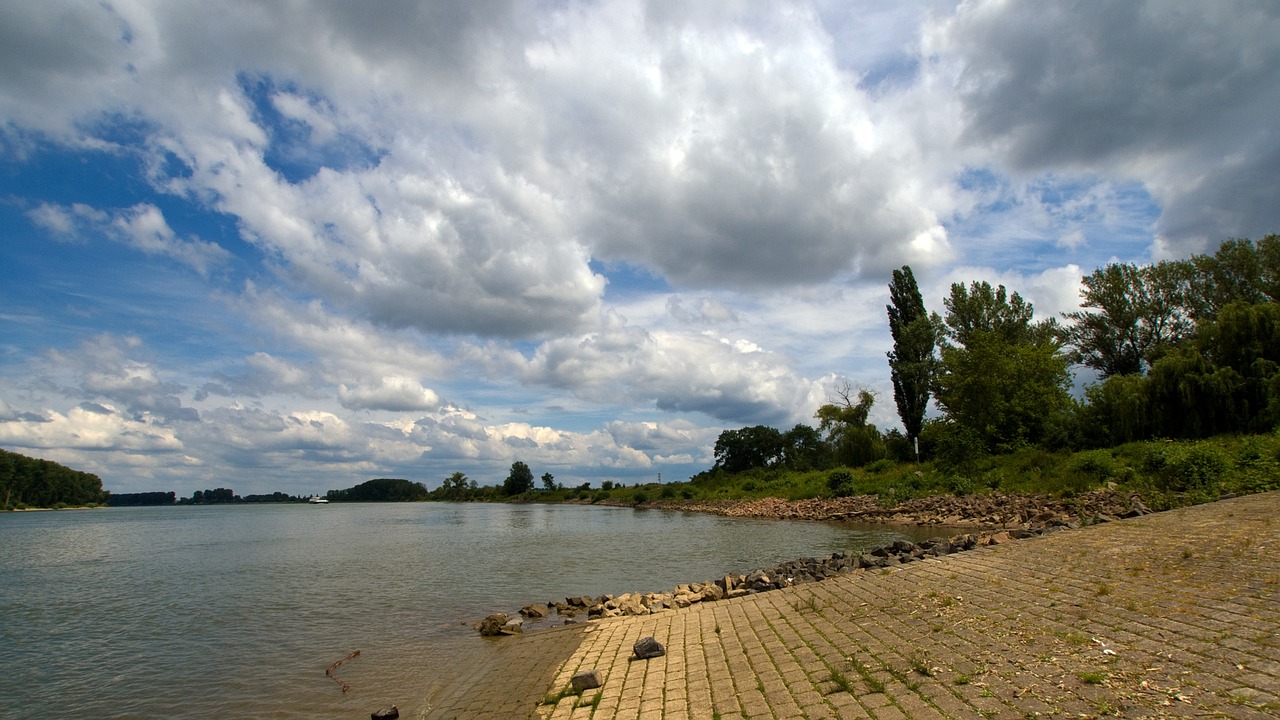 rhine water river landscape free photo