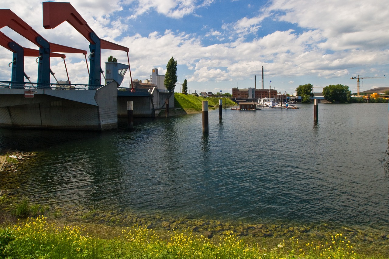 rhine old rhine rhine river free photo