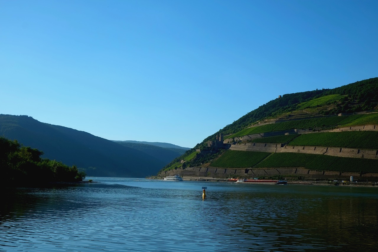 rhine valley river viewpoint free photo