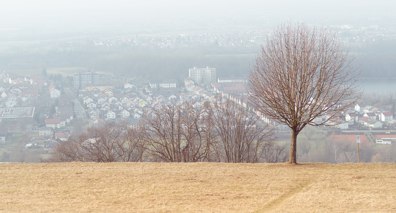 rhine valley michel mountain karlsruhe free photo