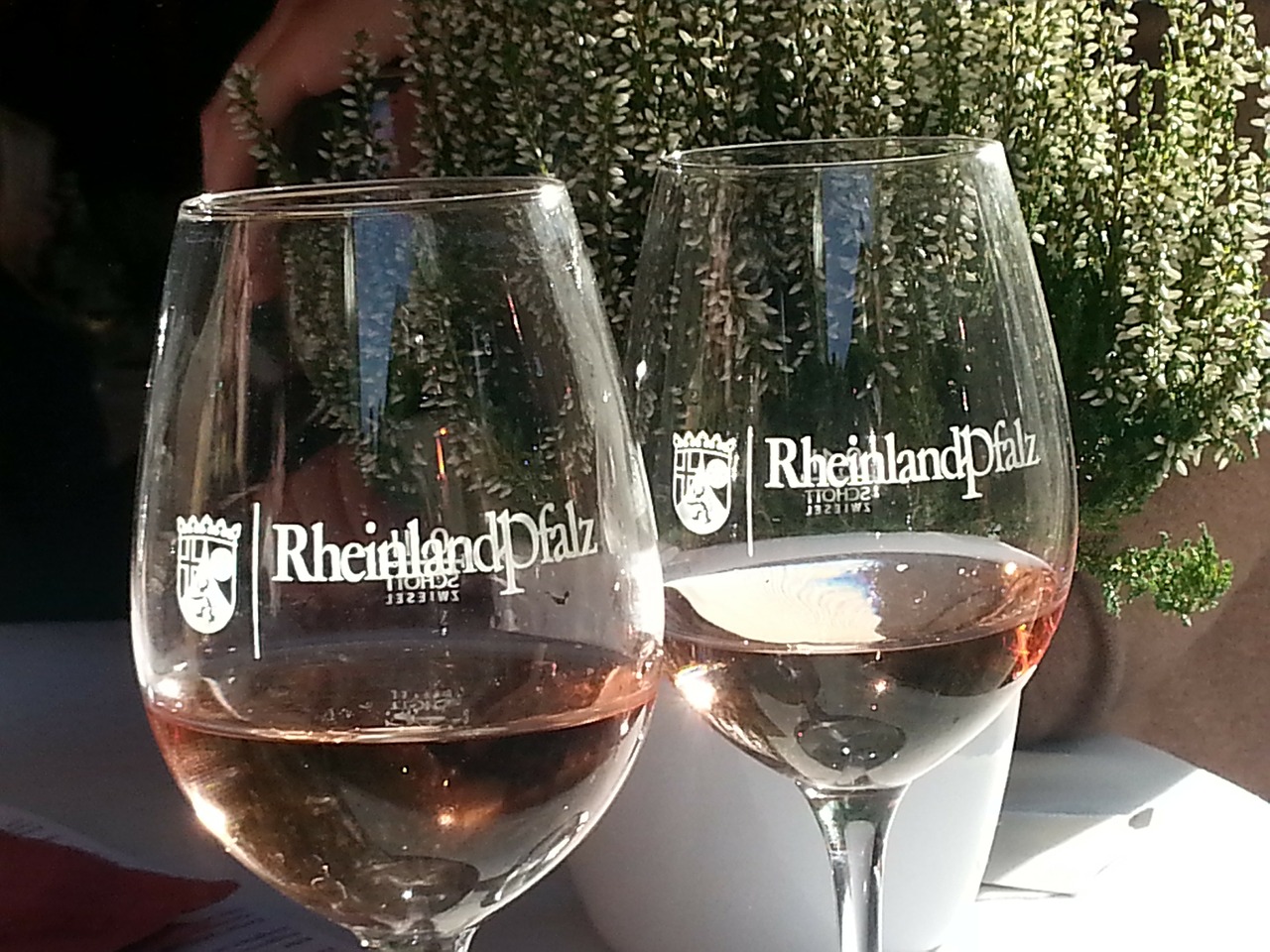 rhineland palatinate wine rose wine free photo