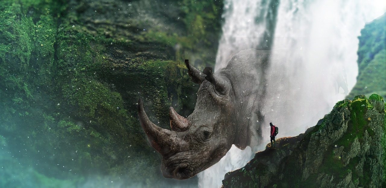 rhino fantasy imaginary free photo