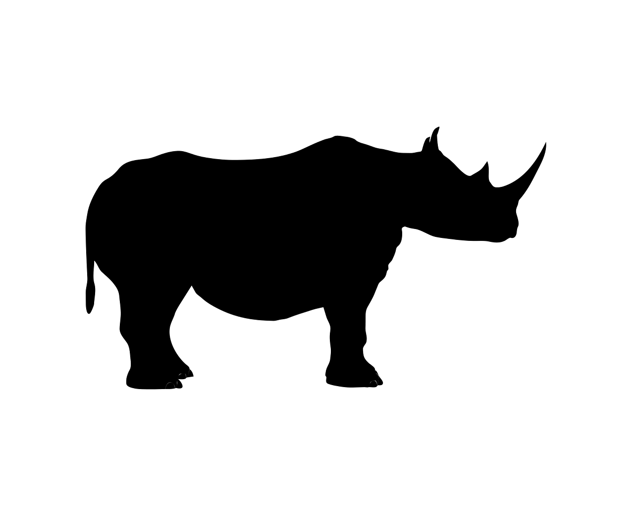 rhino animal wild free photo