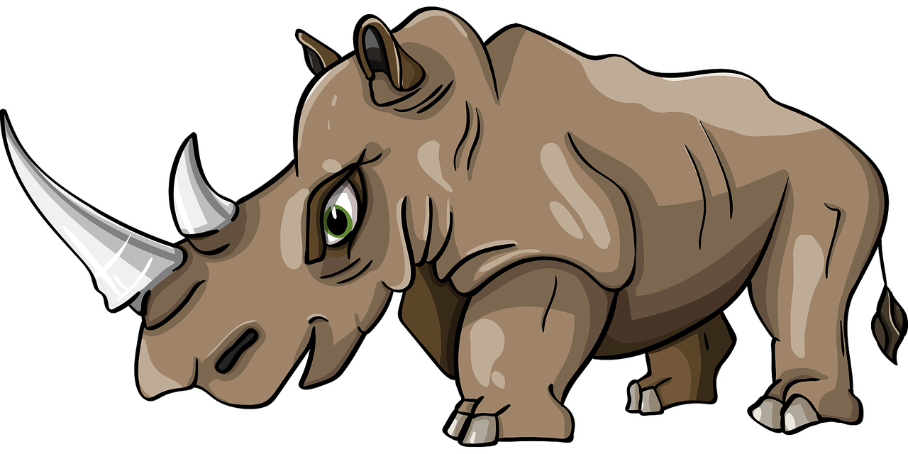 rhino  horn  mammal free photo