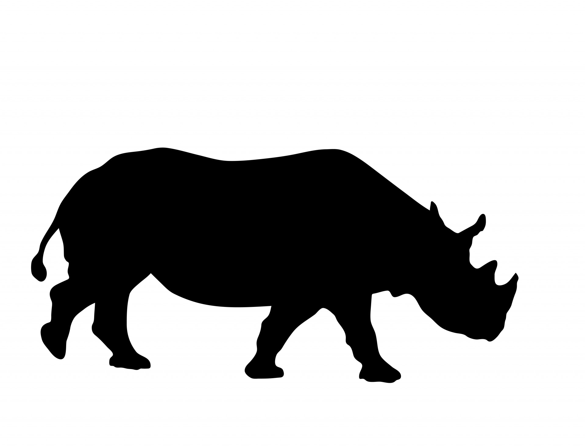 rhino animal black free photo