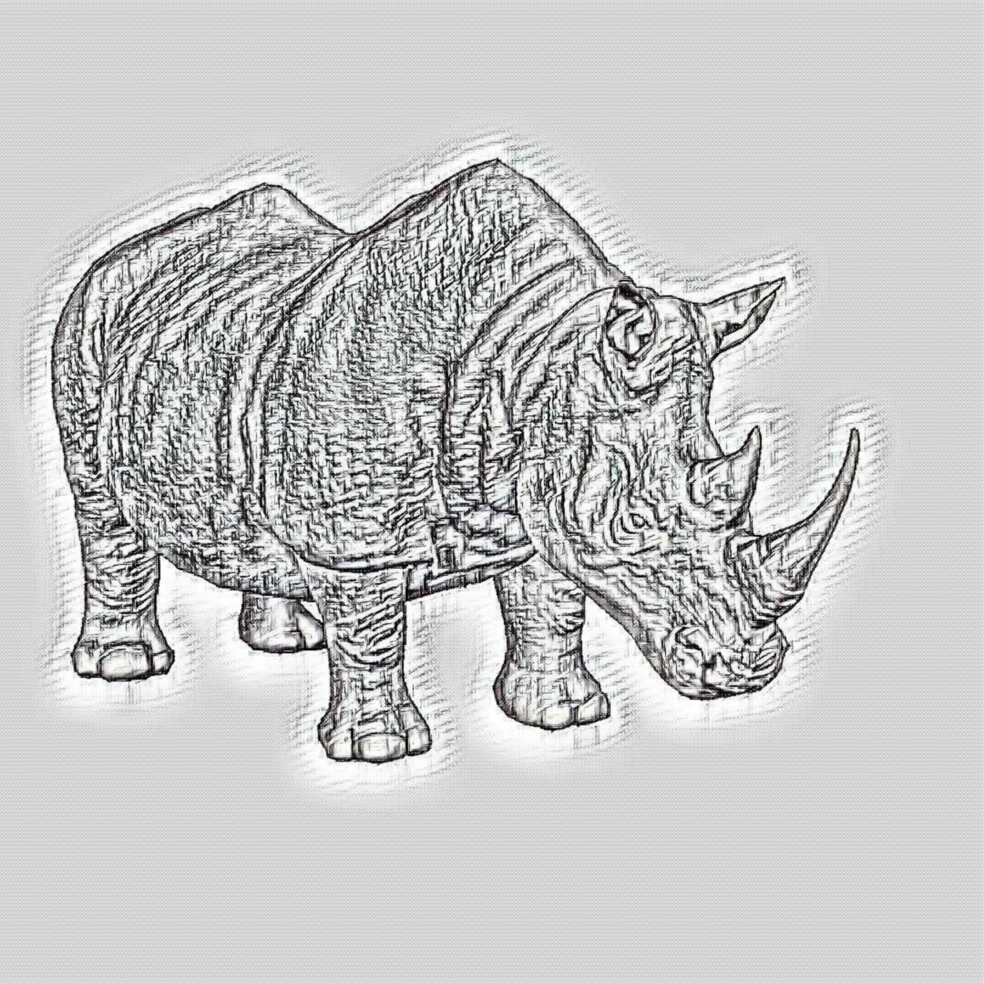 rhino pencil drawing free photo