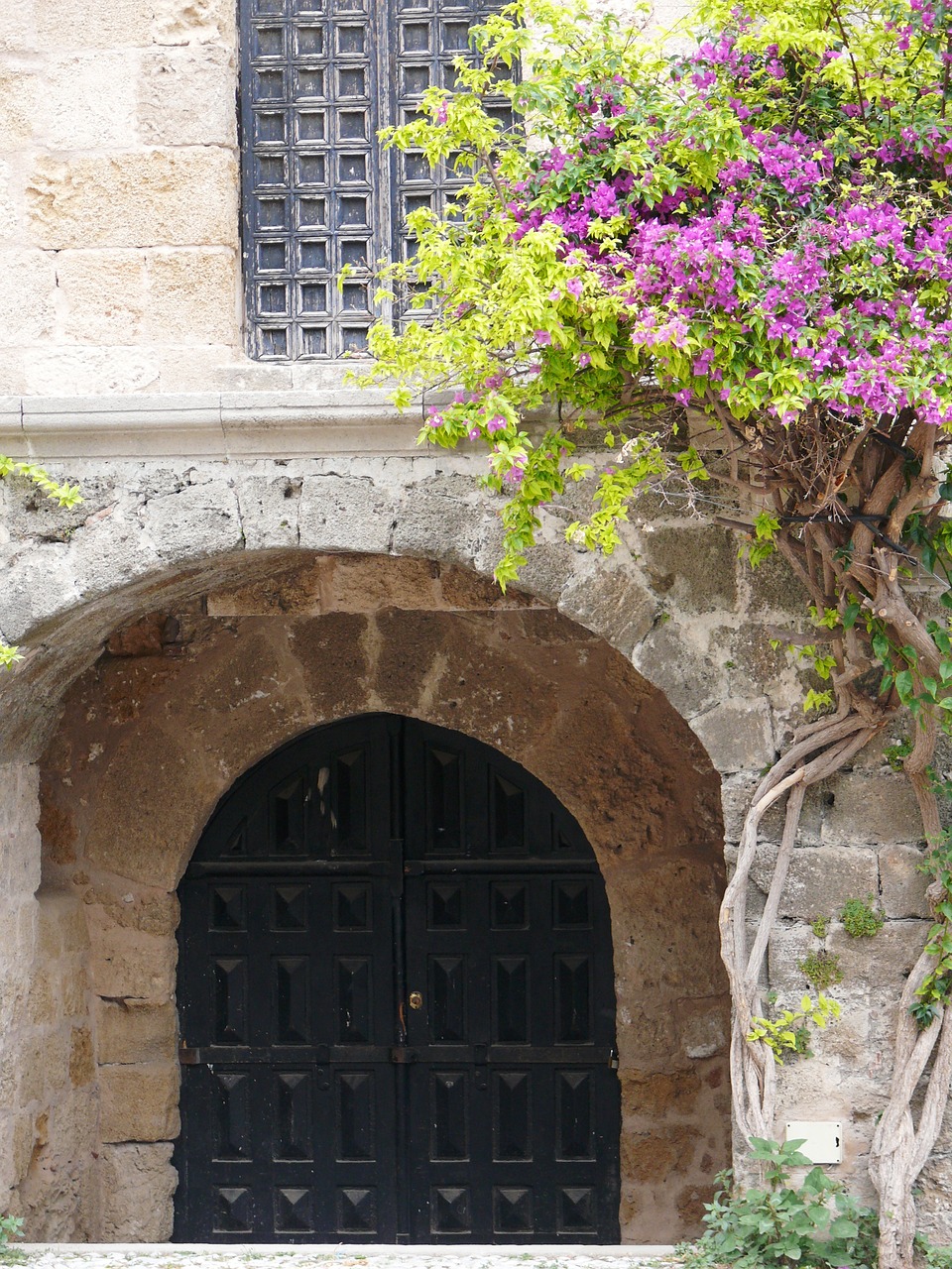 rhodes old town knight free photo