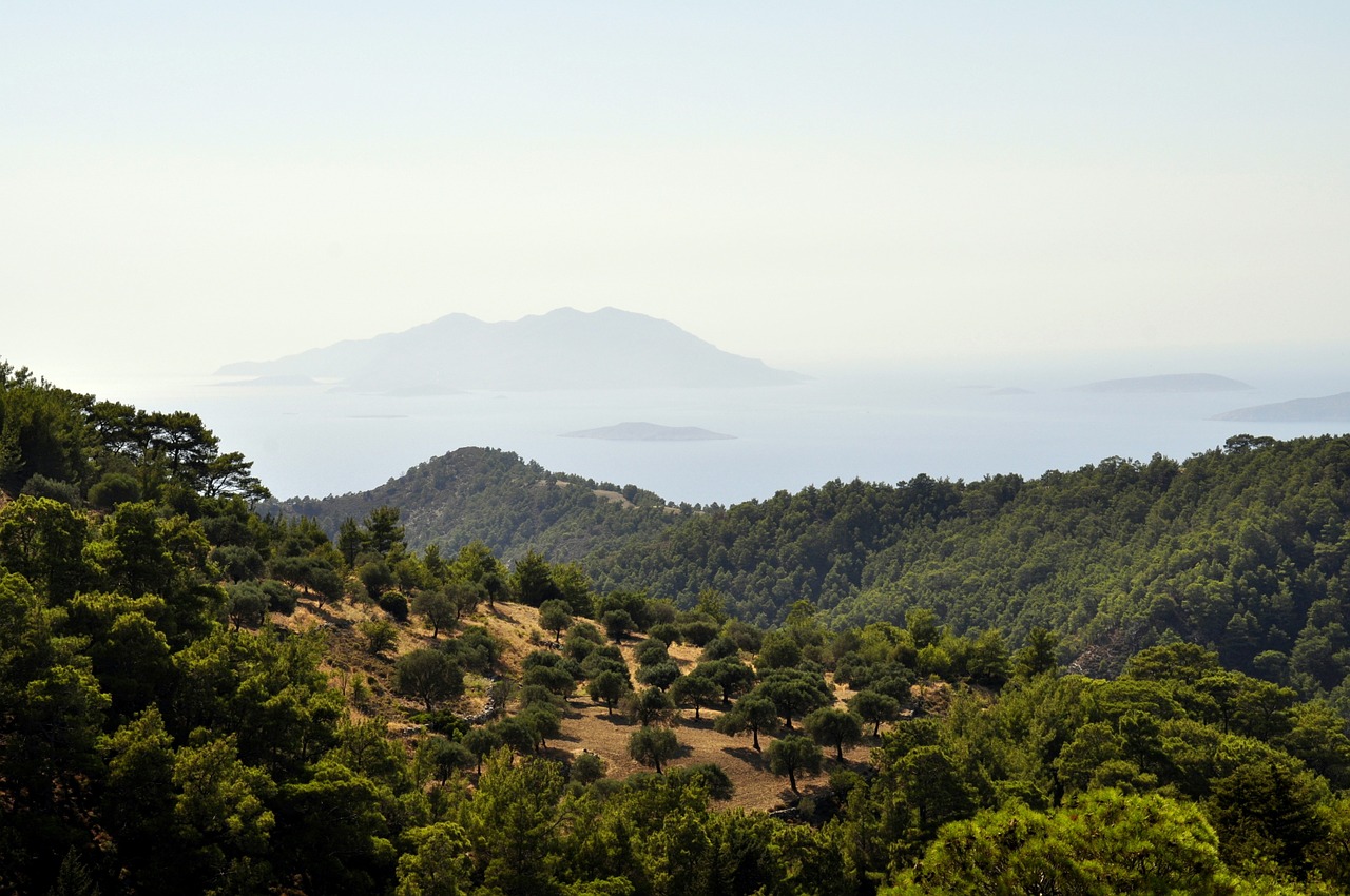 rhodes country olive trees free photo