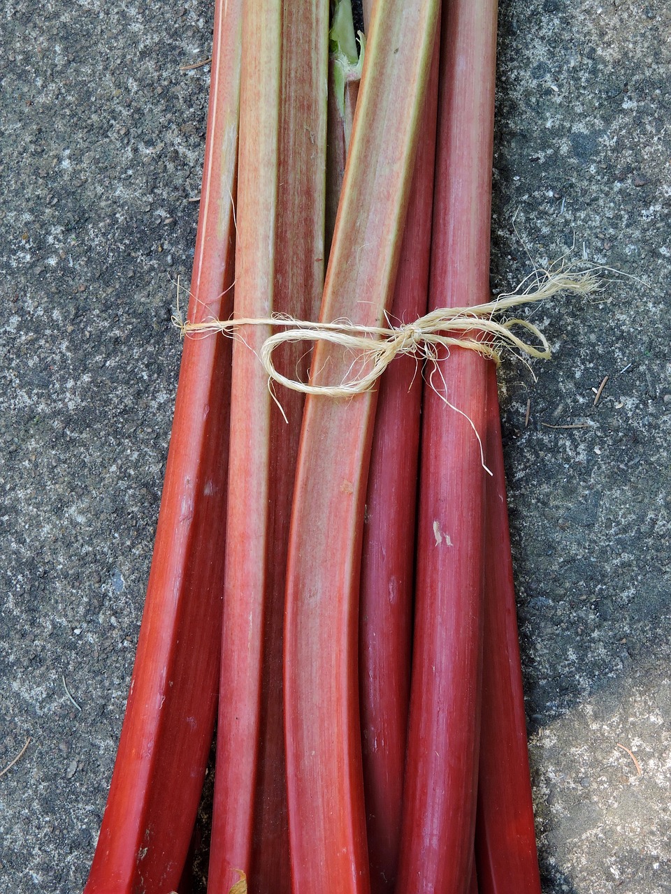 rhubarb red rhubarb stems attached edible plant free photo