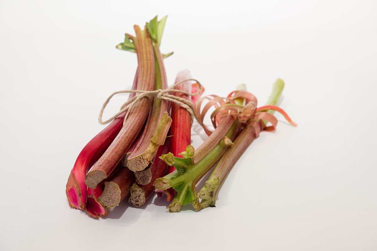 rhubarb  food  vegetables free photo