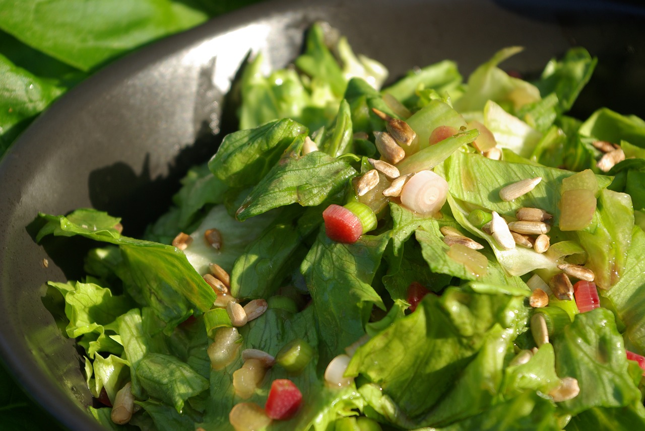 rhubarb salad salad food free photo