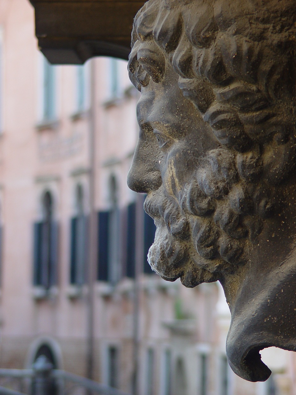 rialto venice italy free photo