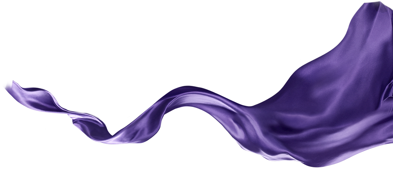 ribbon purple silk free photo