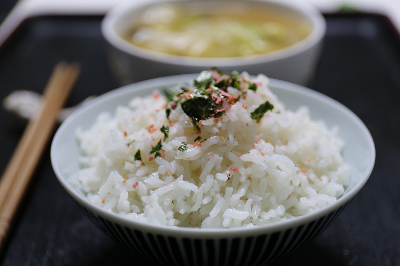rice japan cuisine bowl free photo